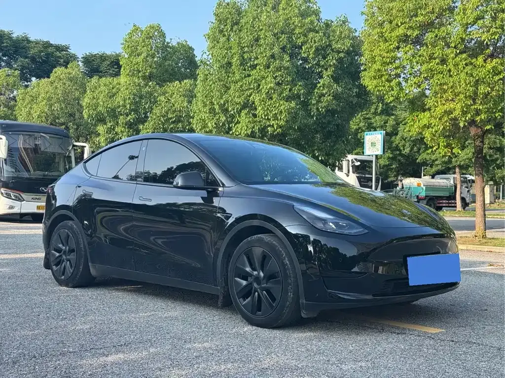 Tesla Model Y — фото 2