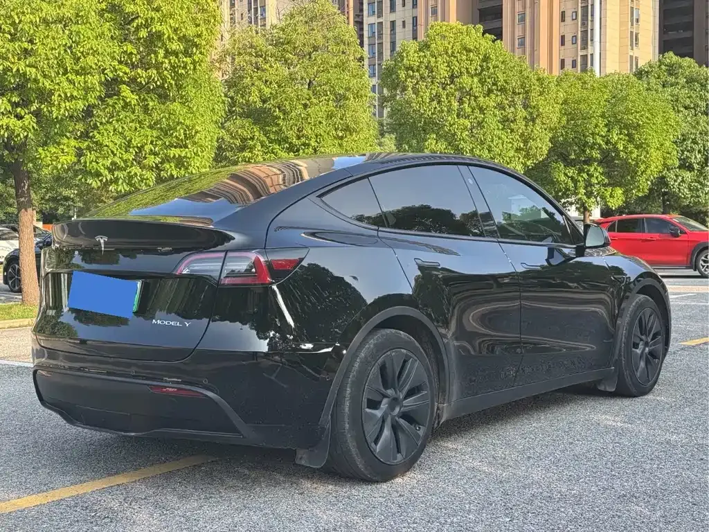 Tesla Model Y — фото 10