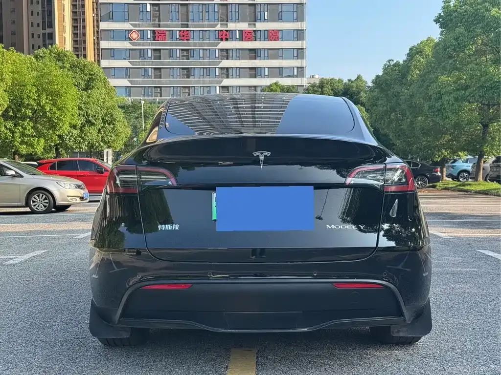 Tesla Model Y — фото 4