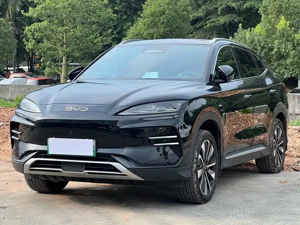 BYD PLUS New Energy — фото 1