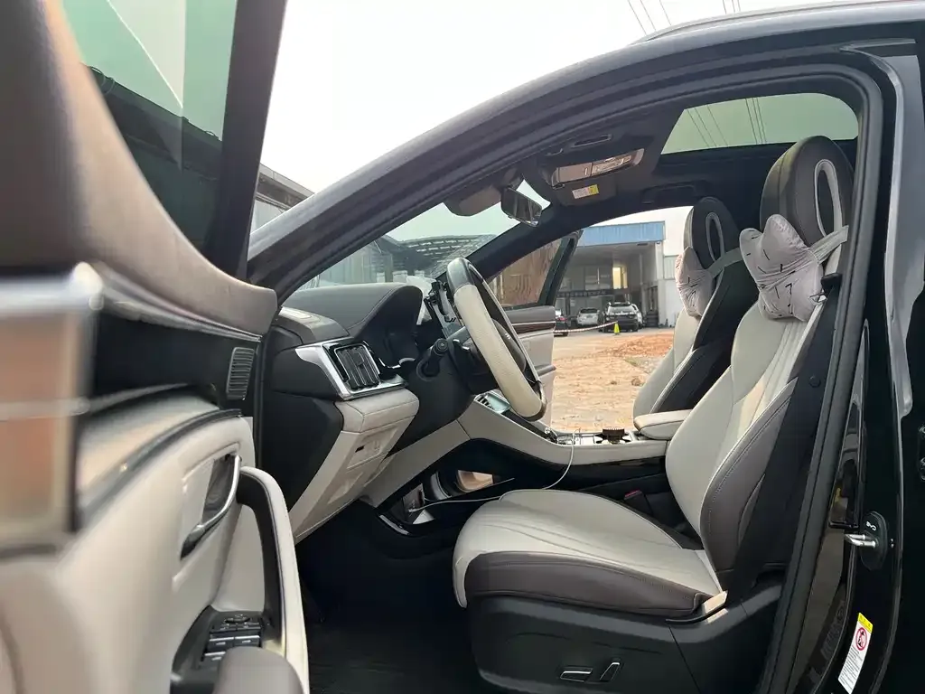 BYD PLUS New Energy — фото 10