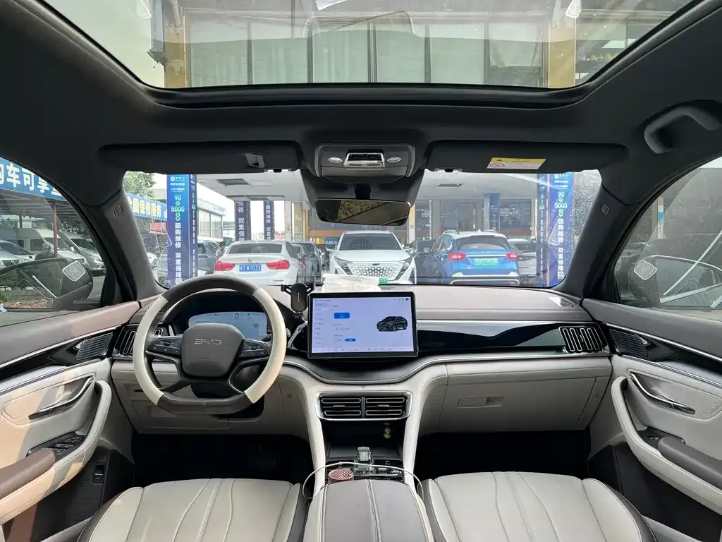 BYD PLUS New Energy — фото 2