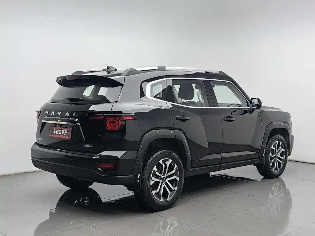 Haval Big Dog PLUS — фото 4