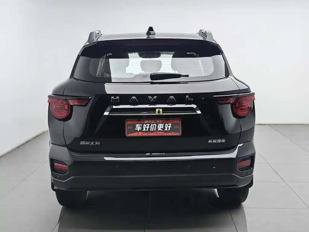 Haval Big Dog PLUS — фото 3