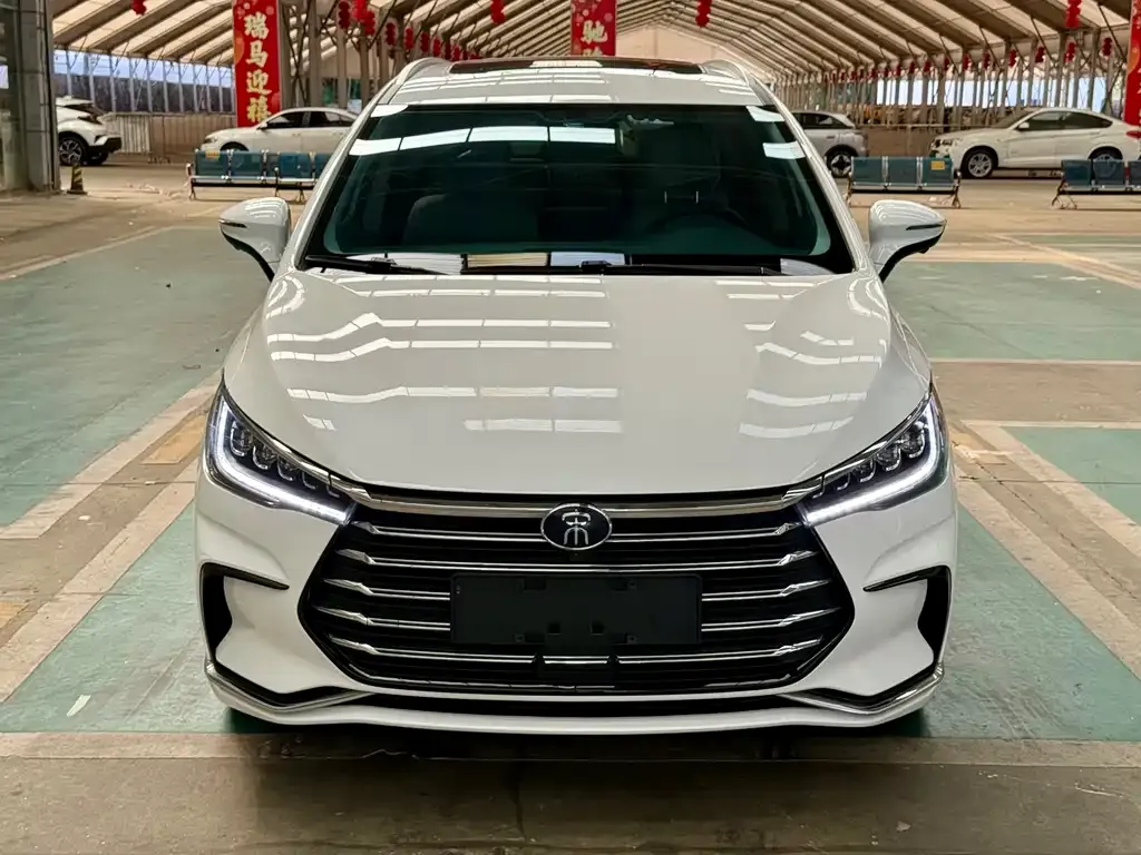 BYD MAX New Energy — фото 1