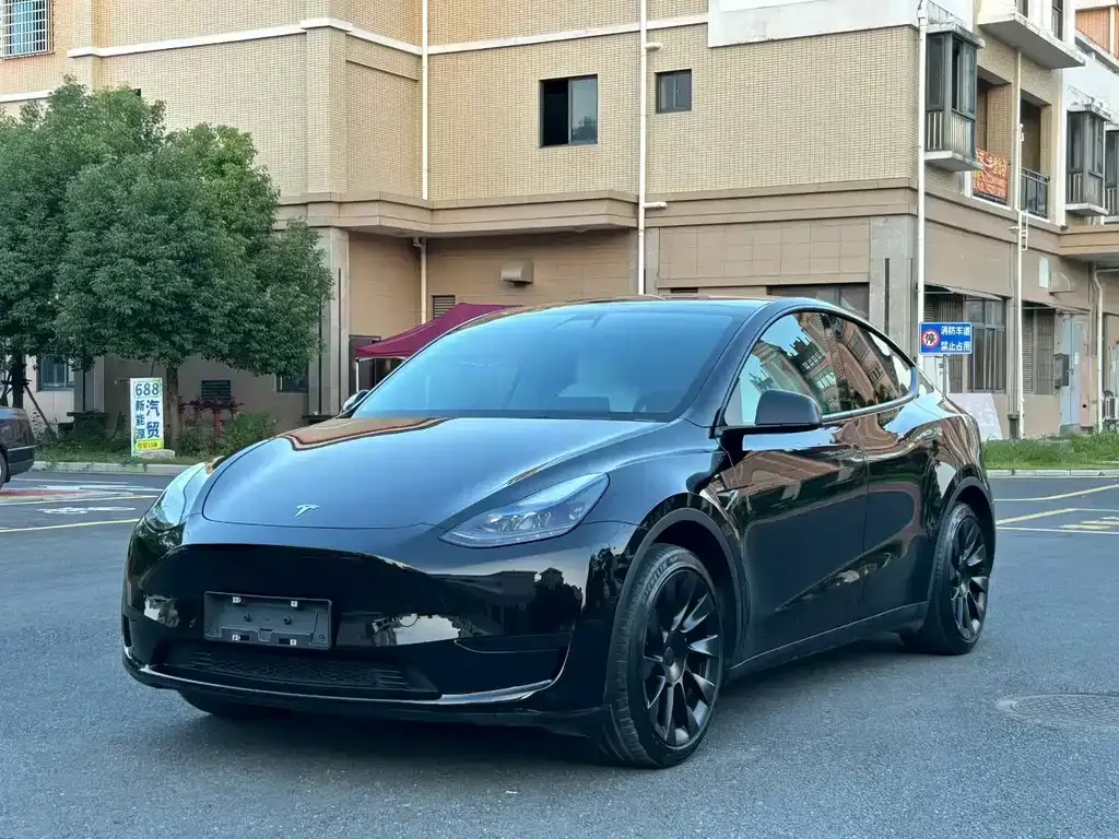Tesla Model Y — фото 1