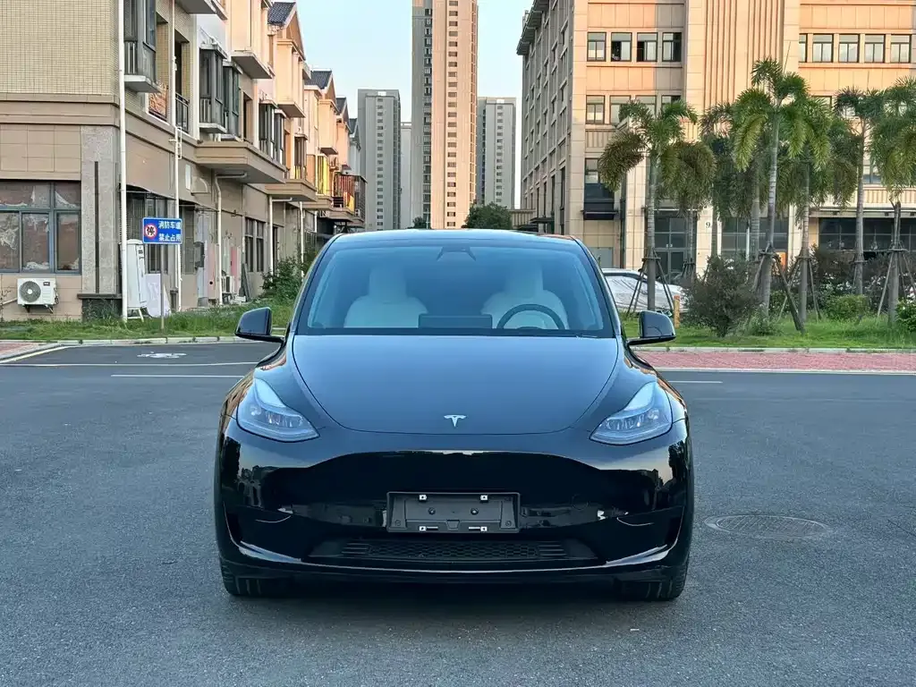 Tesla Model Y — фото 8
