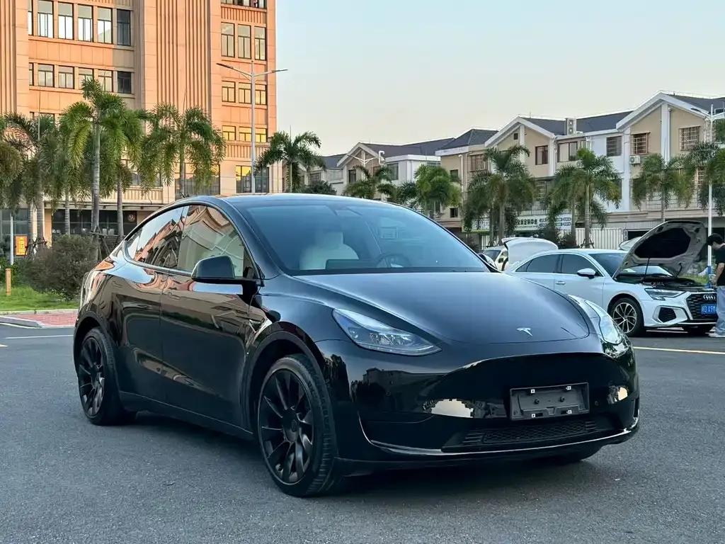 Tesla Model Y — фото 2
