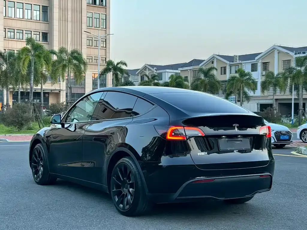 Tesla Model Y — фото 3
