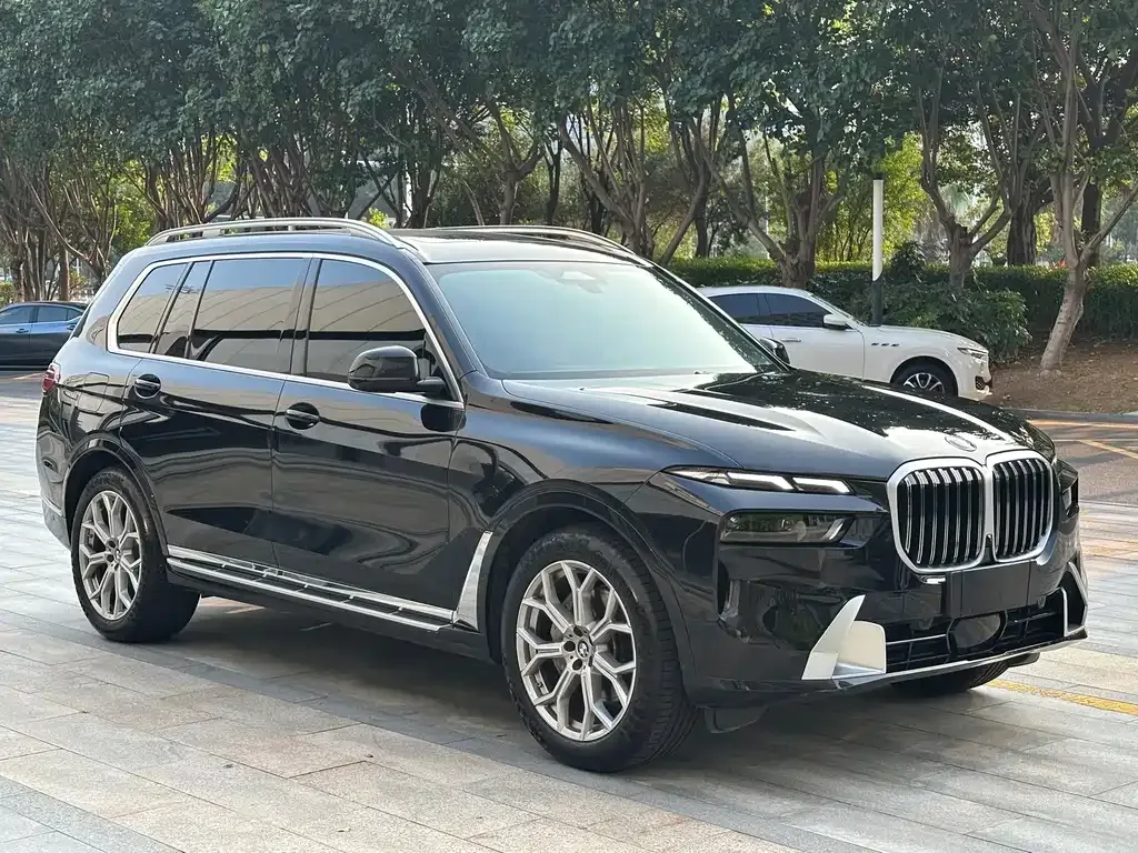BMW X7 — фото 9