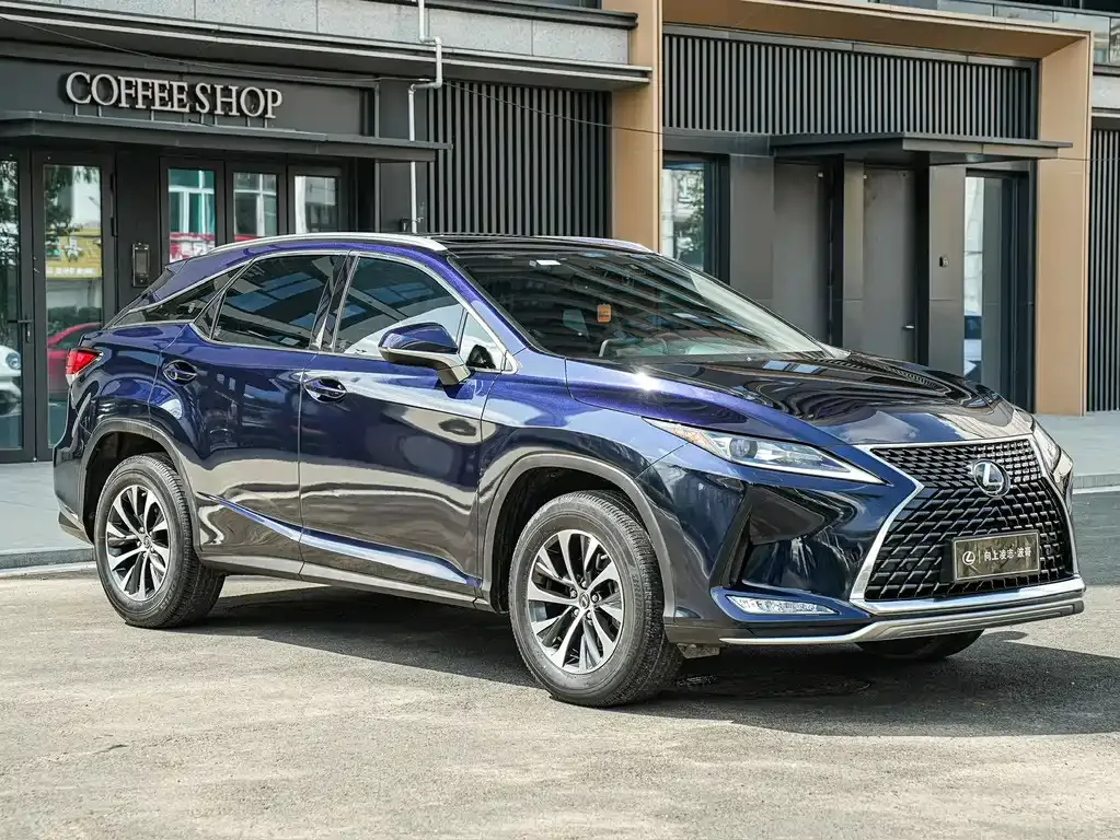 Lexus RX — фото 10