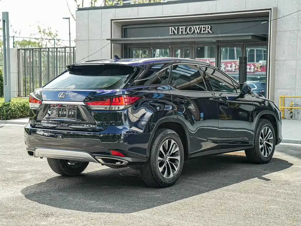 Lexus RX — фото 9