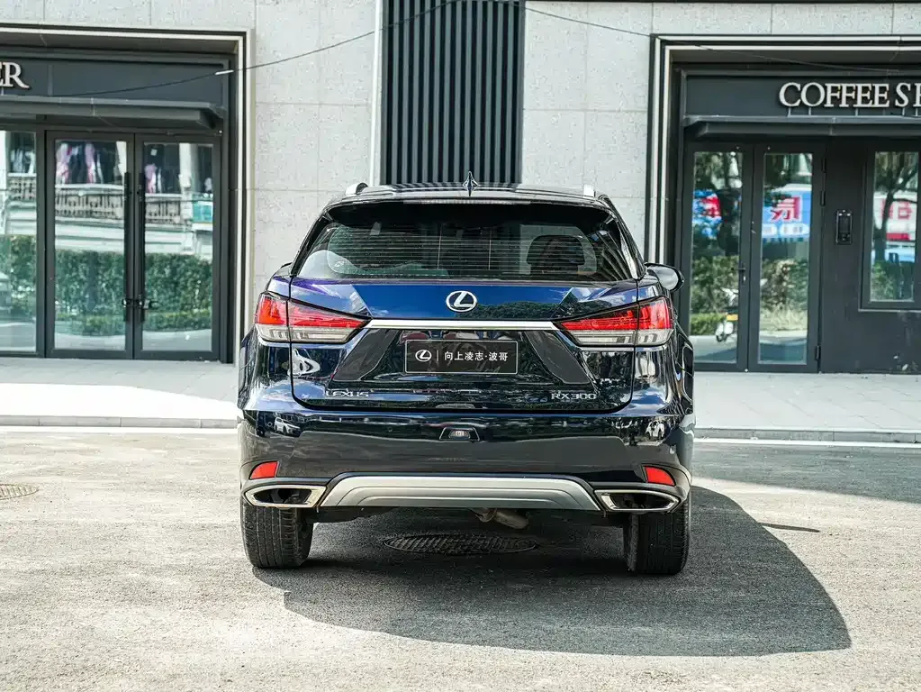 Lexus RX — фото 7