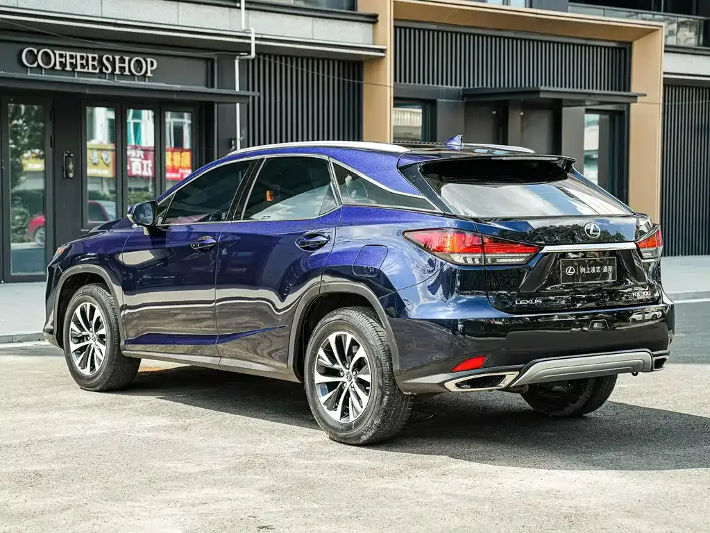 Lexus RX — фото 5