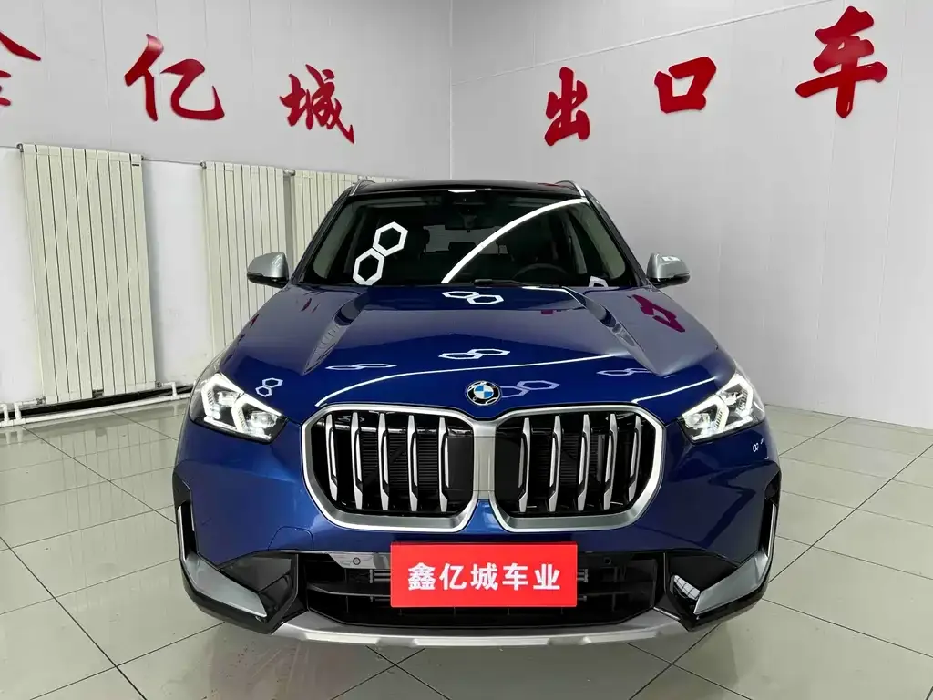 BMW X1 — фото 2