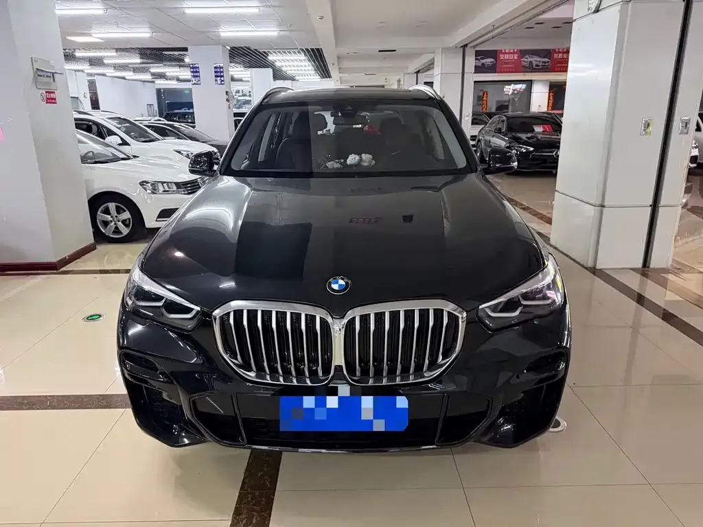 BMW X5 (Import) — фото 6