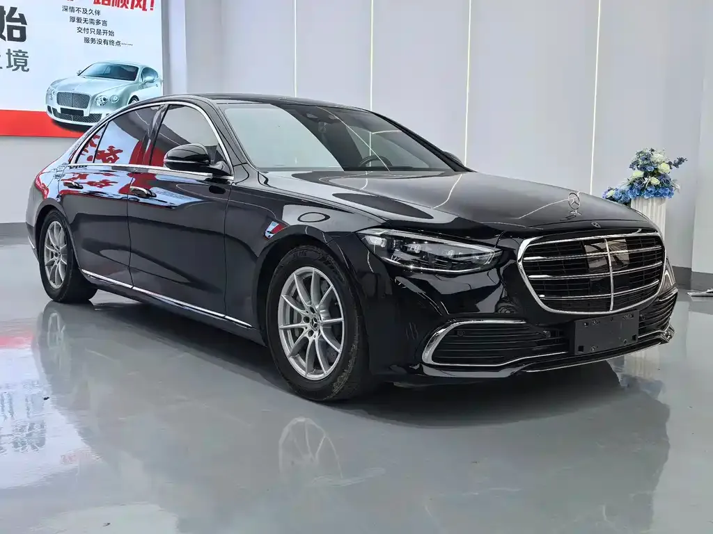 Mercedes-Benz S-Class — фото 10