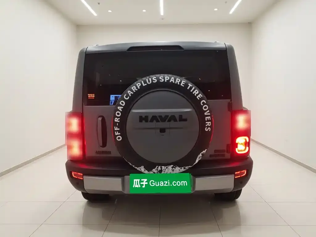 Haval Menglong New Energy — фото 9