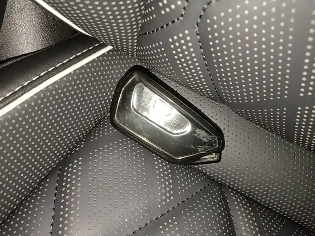 Volkswagen Teramont X — фото 9