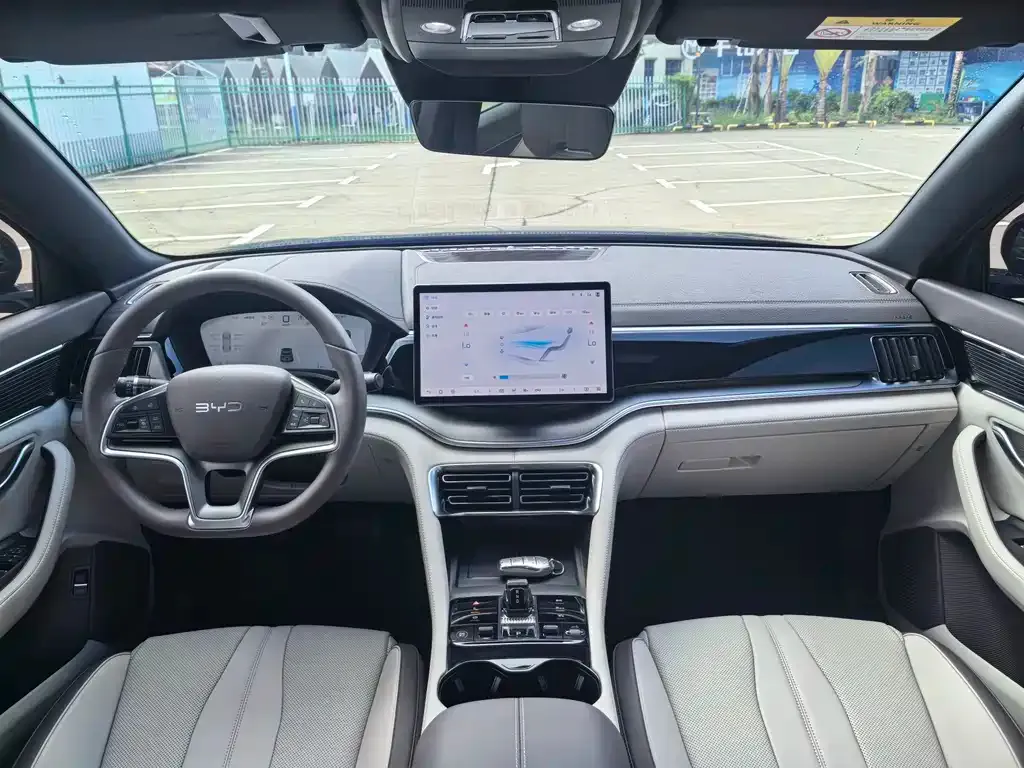 BYD PLUS New Energy — фото 2