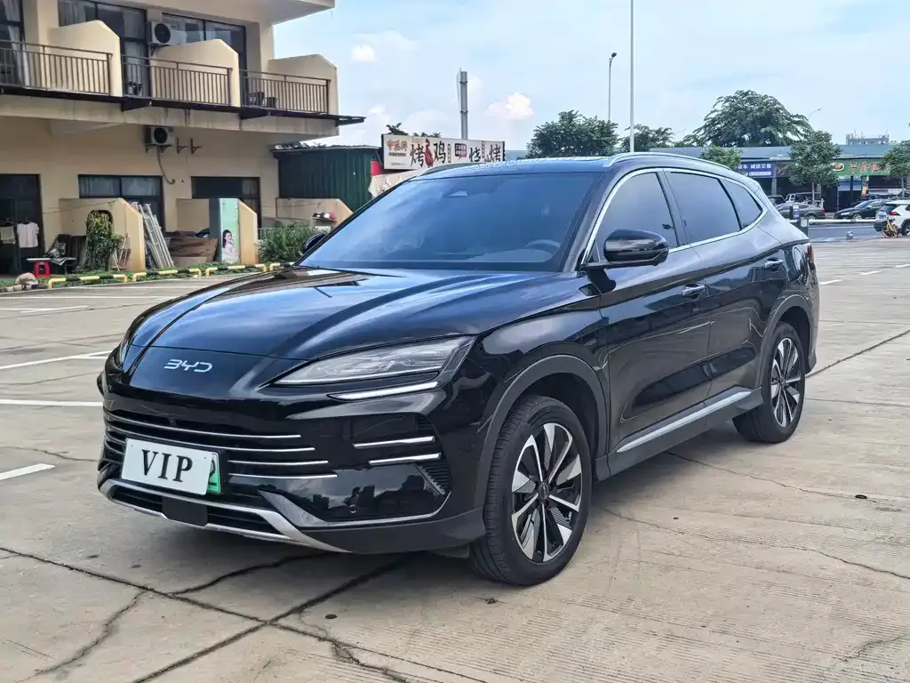 BYD PLUS New Energy — фото 8
