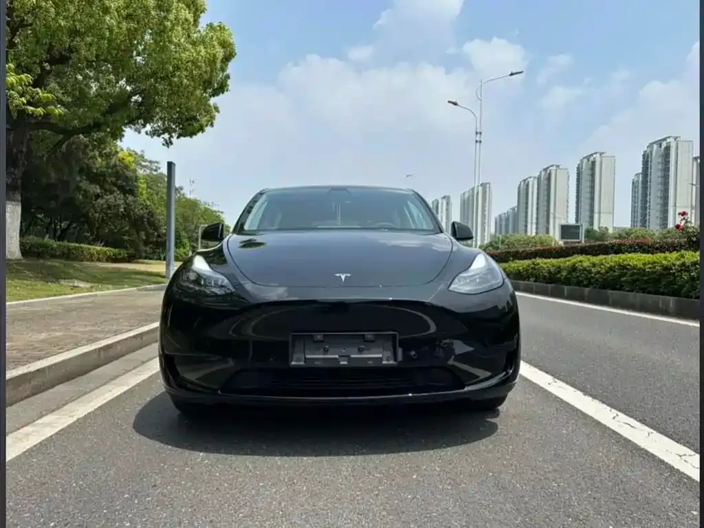 Tesla Model Y — фото 5