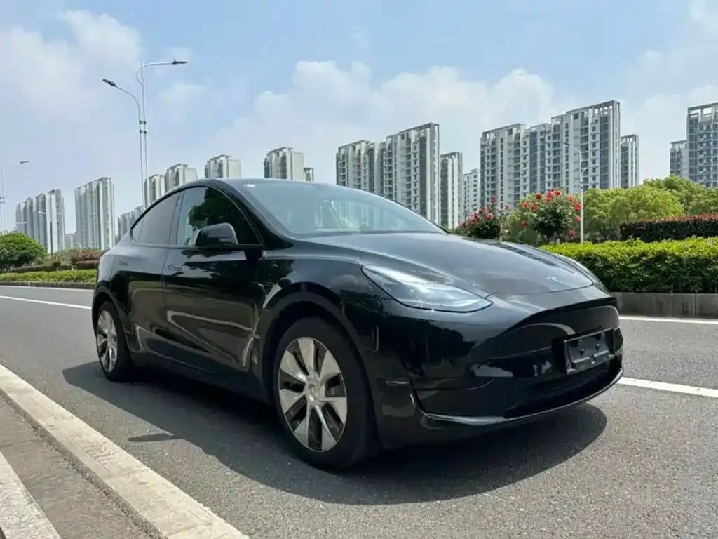 Tesla Model Y — фото 8