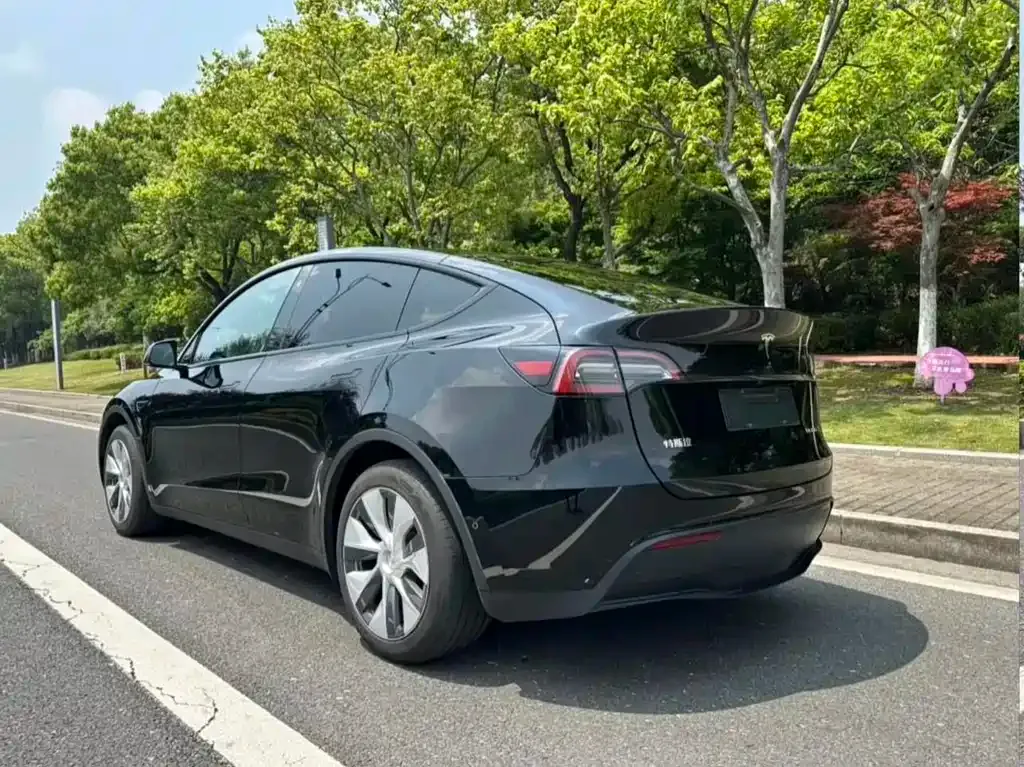 Tesla Model Y — фото 10