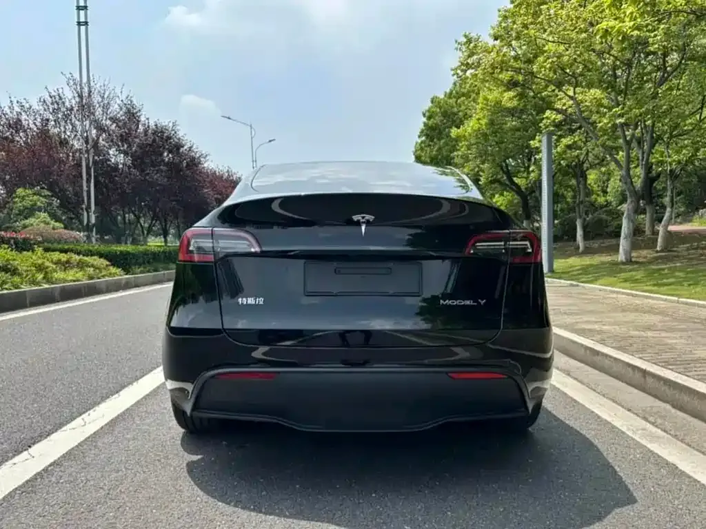 Tesla Model Y — фото 6