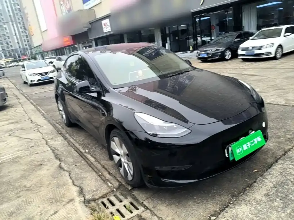 Tesla Model Y — фото 7