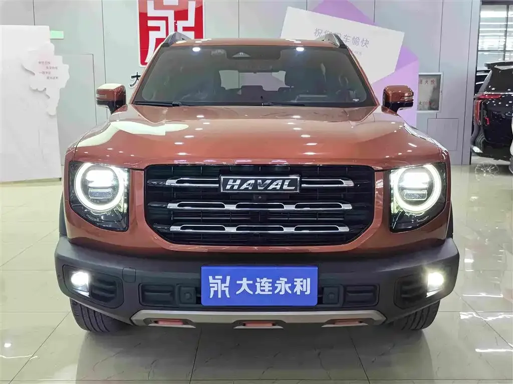 Haval Big Dog — фото 8