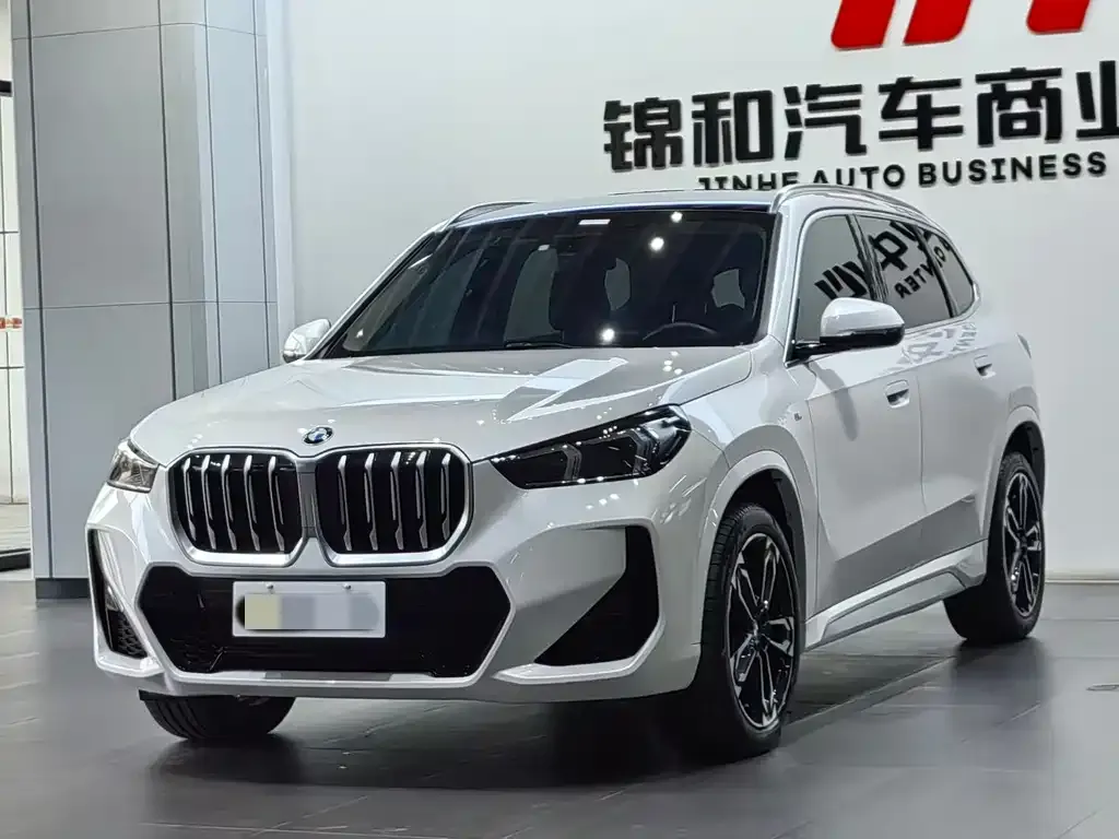 BMW X1 — фото 1