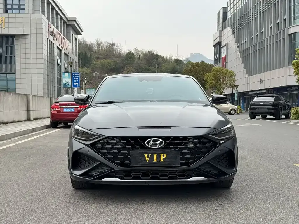 Hyundai Fista — фото 6