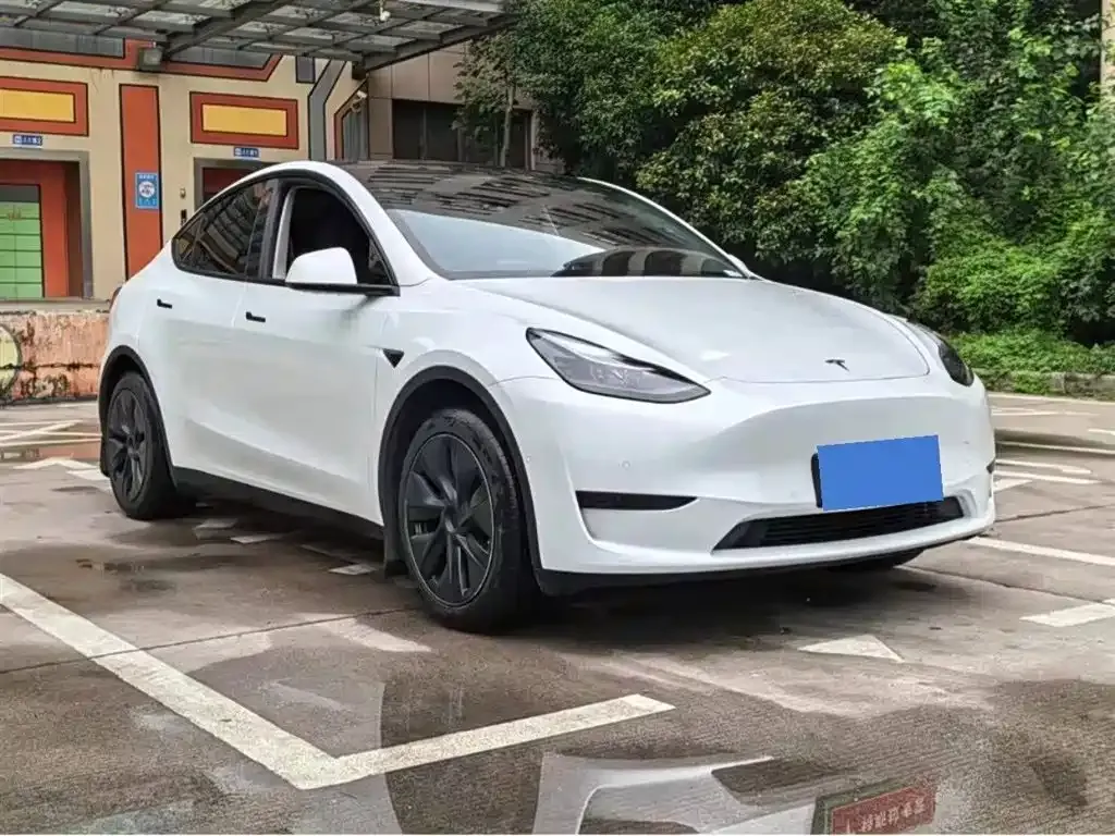 Tesla Model Y — фото 2