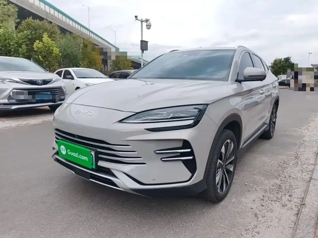 BYD PLUS New Energy — фото 1