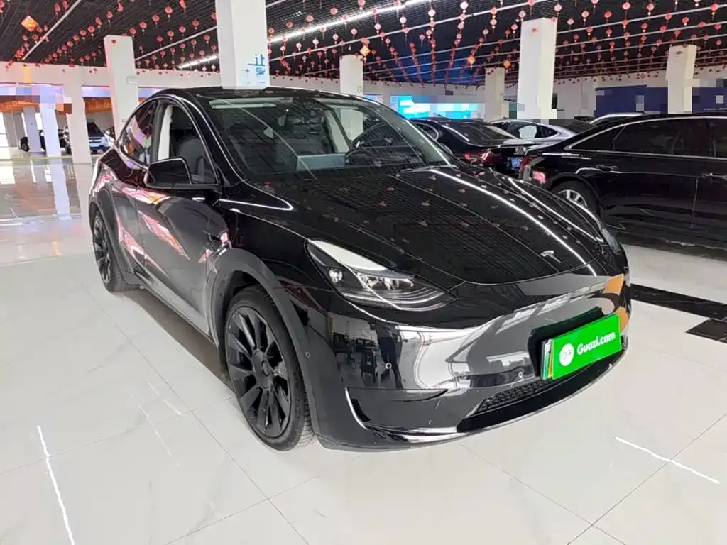 Tesla Model Y — фото 10