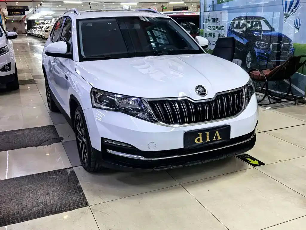 Skoda Kamiq — фото 8