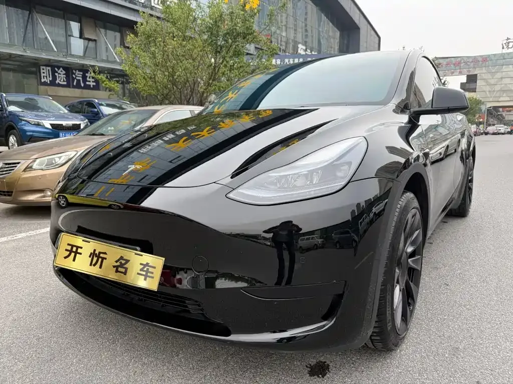 Tesla Model Y — фото 1