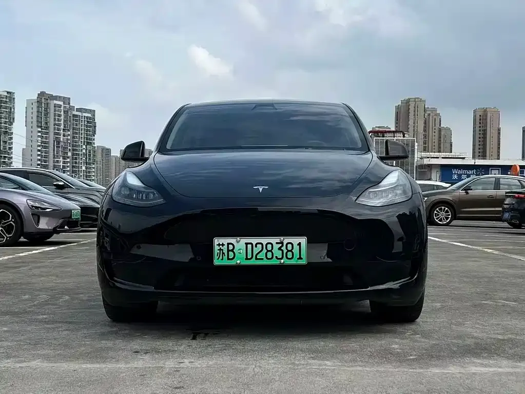 Tesla Model Y — фото 4