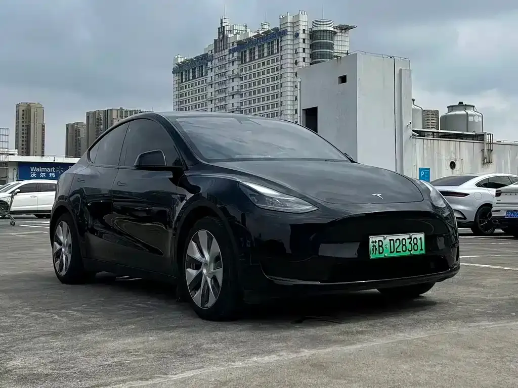 Tesla Model Y — фото 5