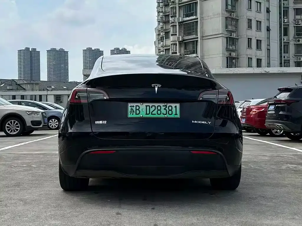 Tesla Model Y — фото 8