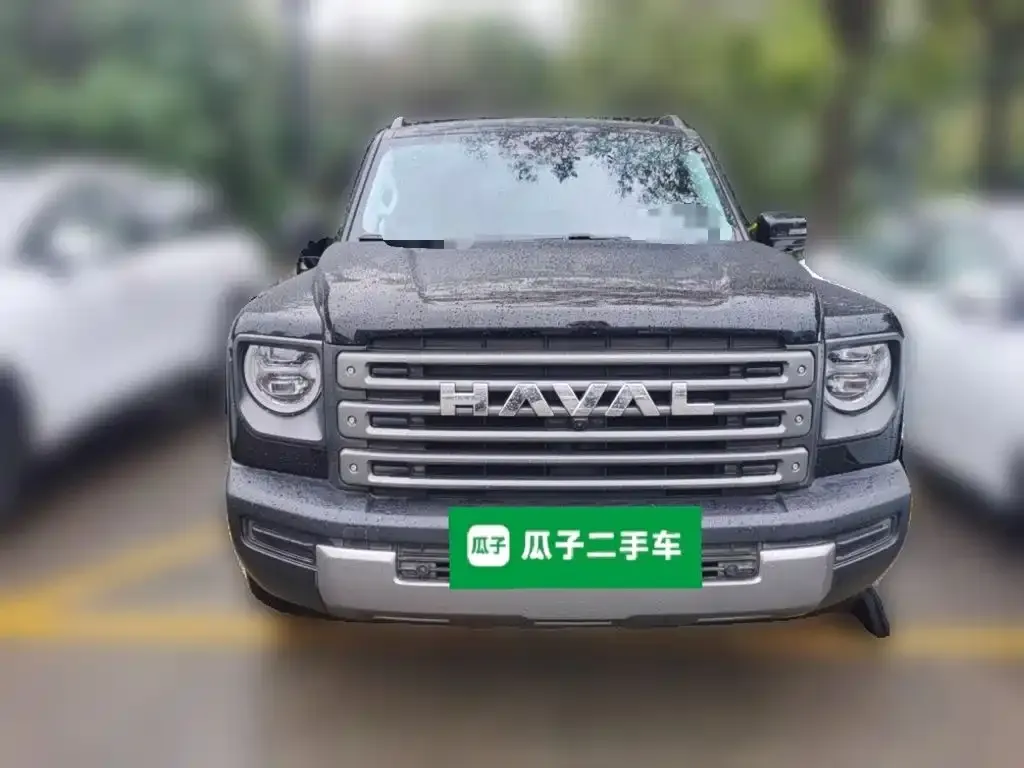 Haval Menglong New Energy — фото 3