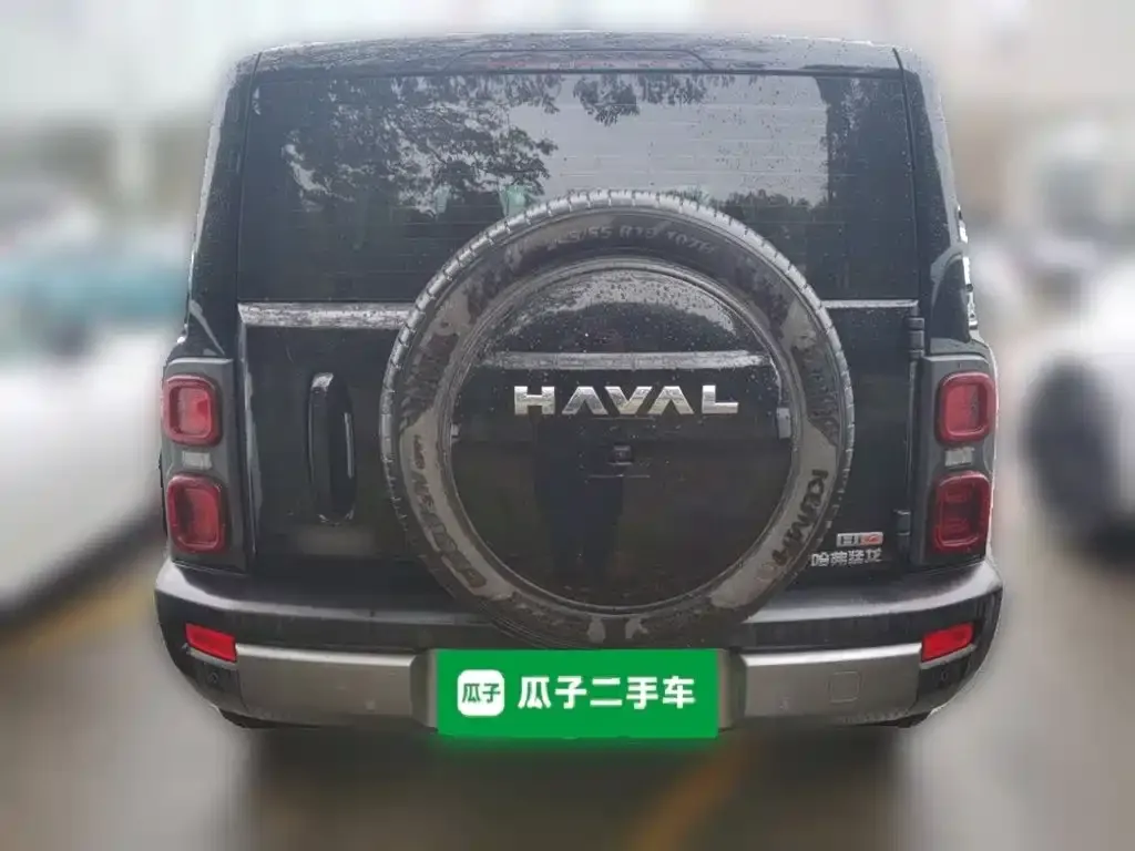 Haval Menglong New Energy — фото 10
