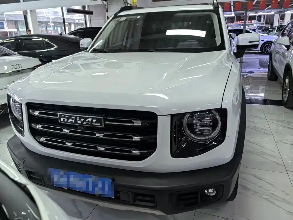 Haval Big Dog — фото 7