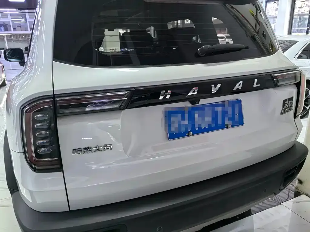 Haval Big Dog — фото 8