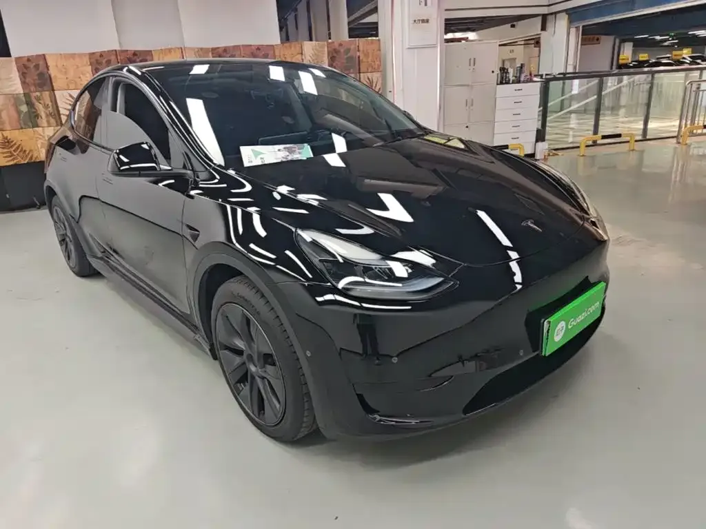 Tesla Model Y — фото 10