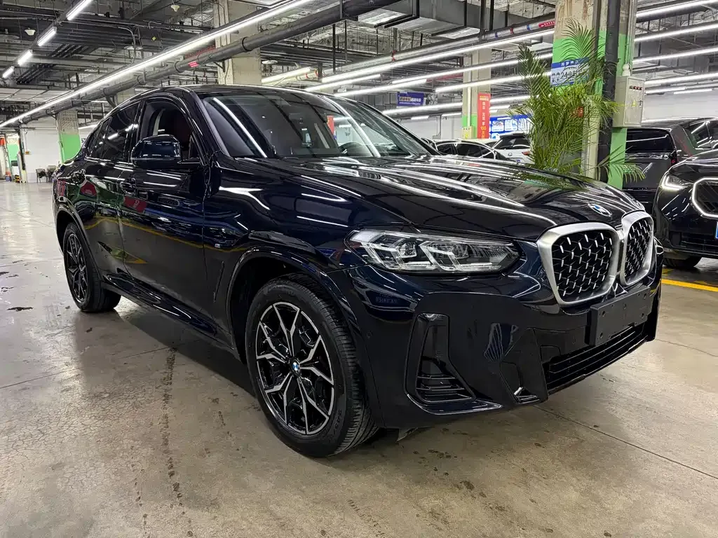 BMW X4 — фото 4