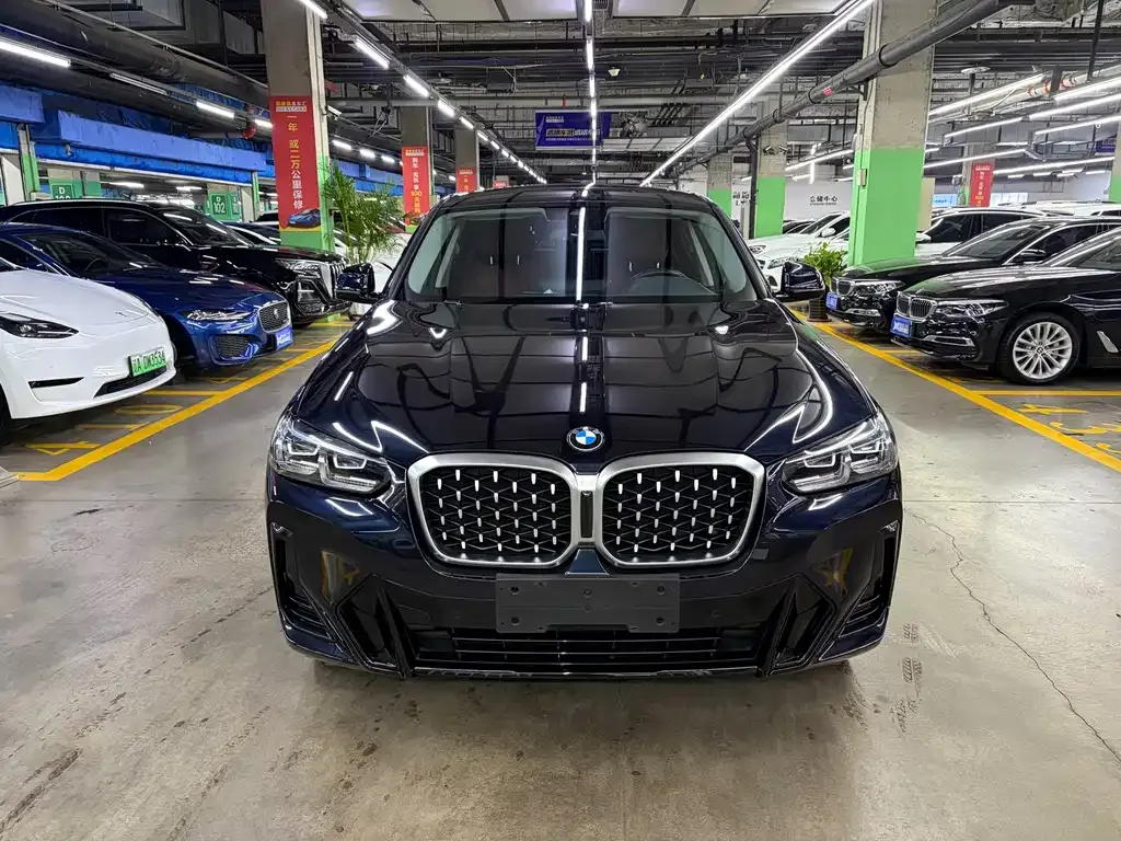 BMW X4 — фото 10