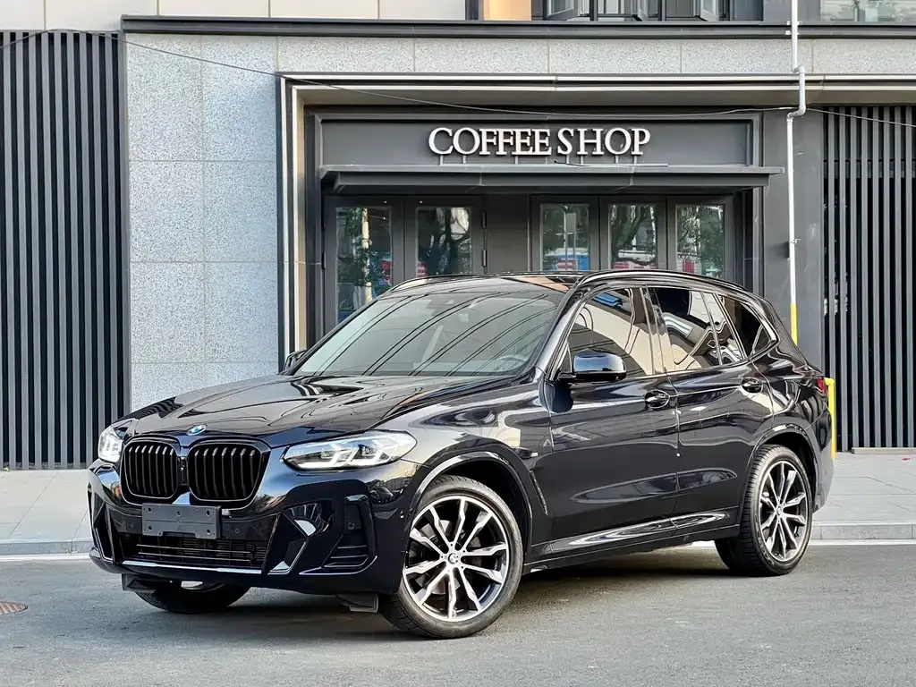 BMW X3 — фото 1