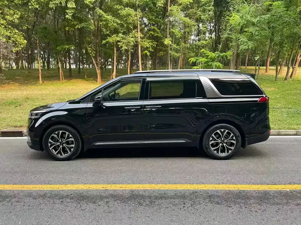 Kia Carnival — фото 10